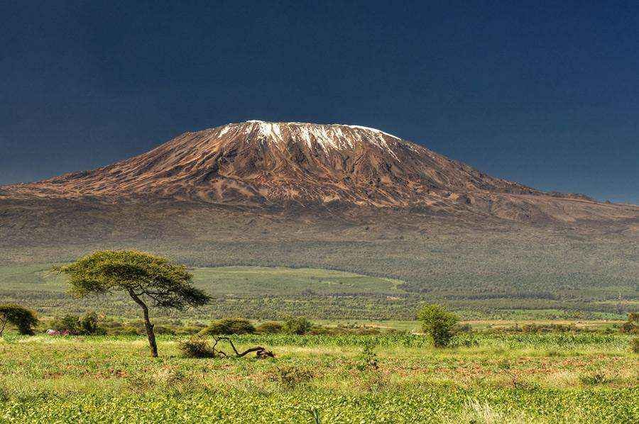 kilimanjaro